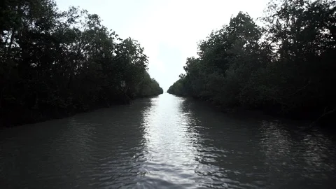 Scene of boat on river Stock Footage 126071826