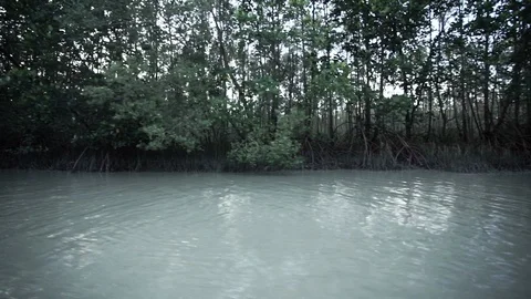 Scene of boat on river Stock Footage 126072075