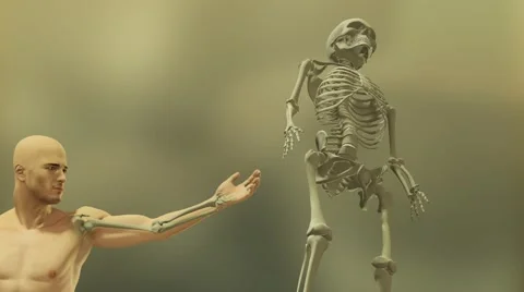 Scene with body and skeleton Stock Footage 60664155