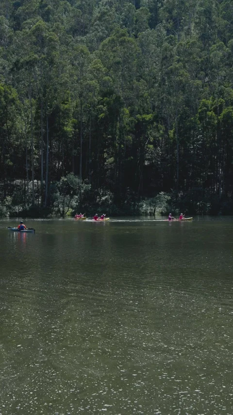Scene of a calm river with a group of canoeists enjoying a summer day under.. Video stock 297958544