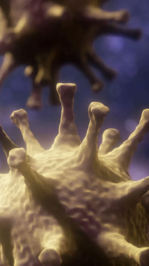 The scene captures a close up view of a microorganism Stock Footage 333567338