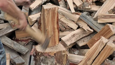 Scene with chopping birch logs Stock Footage 73322004
