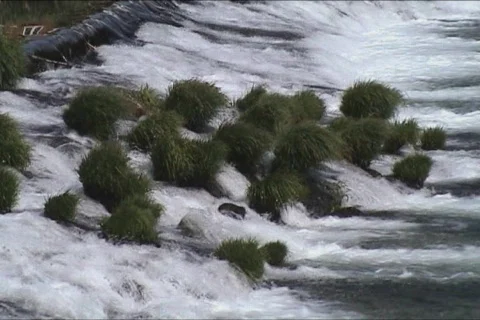 Scene of the city close to the river Video stock 101928