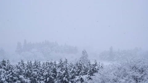 A scene of continual snowfall, snow-covered trees, images of winter, a smal.. Video stock 328483959