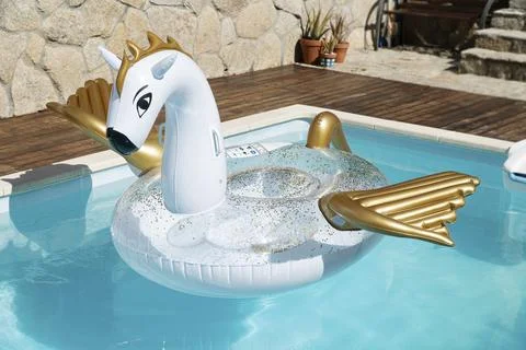 Scene of a Cute inflatable dragon floating on house swimming pool on sunny day. Foto stock