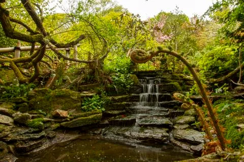 A scene from a decorated back yard pond with a small waterfall Stock Photos