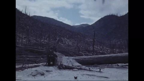 Scene of destroyed forest by the eruption of Mount St. Helens - 1980 - 1983 Stock Footage 99097304