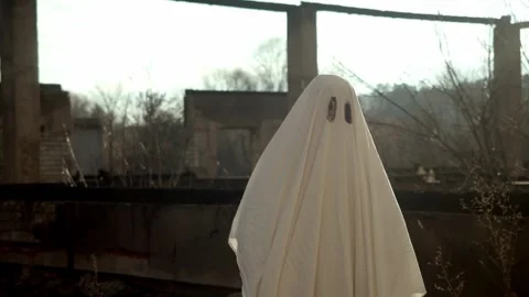 Scene of devastation, charred frame of house, ghostly resident now only soul Stock Footage 320247240