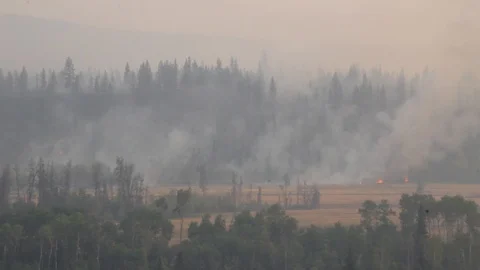 Scene of disarray after forest fire in British-Columbia, Canada in the summer Stock Footage 93616506