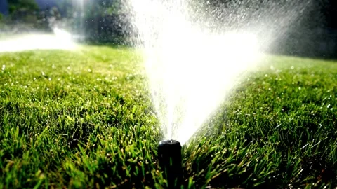 Scene dolly shot of sprinkler on the grass at home, Concept of day in the life Video stock 334656756