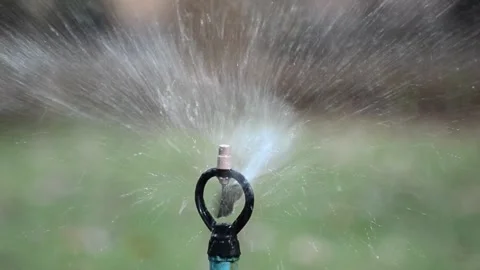 Scene dolly shot of sprinkler on the grass at home, Concept of day in the life Stock-Footage 334656971
