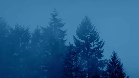 The scene evokes a serene and wintry atmosphere Stock Footage 255491920