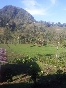 Scene of farming Stock Photos