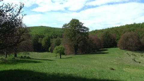 A scene of a field in Hungary Stock Footage