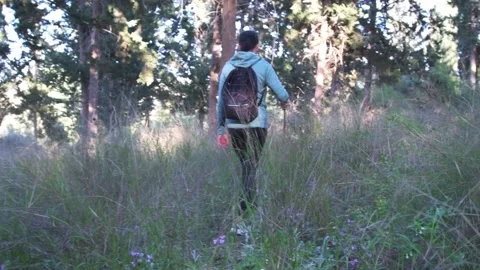 A scene with a girl with a backpack walking through the green grass on a sunny Stock Footage 239133286