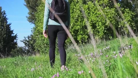 A scene with a girl with a backpack walking through the green grass on a sunny Stock Footage 239522845
