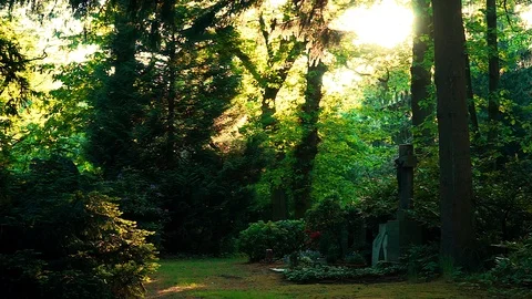 Scene At A Graveyard In The Evening With Bugs Flying In The Air 스톡 동영상 94766119
