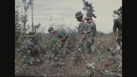 Scene of group inspects the weapons in the cache - 1970 스톡 동영상 97929263