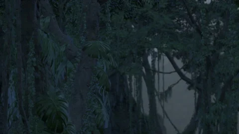 Scene looking straight into a dense tropical rain forest Video stock 236414430