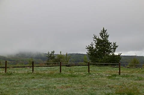 Scene with misty spring meadows, forest and singly trees in Plana mountain Stock Photos