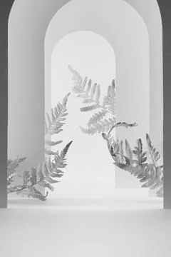 Scene mockup - white, grey decorative frames as arches, fern leaves for prese Stock Photos