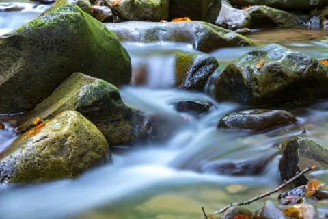 Scene with mountain brook Stock Photos