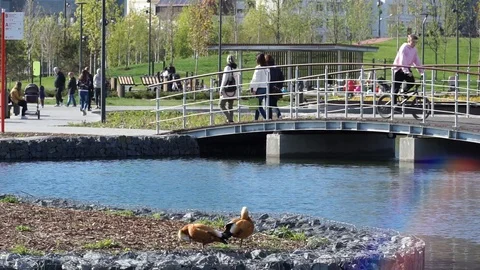 Scene at a park Stock Footage 112435001