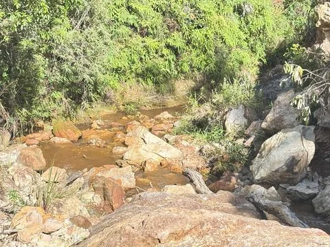 Scene of quiet stream in forest Stock Photos