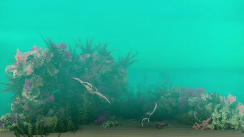 Scene with reef. 3d animation of underwater life. corals under the sea Stock Footage 278650288