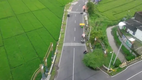 Scene of the road and rice fields Stock Footage 235374645