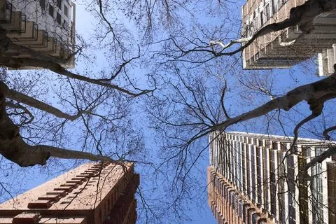 Scene seen from below of 4 high residential flats, one in each corner of th.. Stock Photos