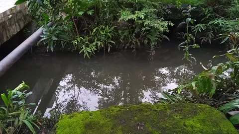 Scene of a small river or sewage showing calm water rock and reflection Stock Footage 146042783