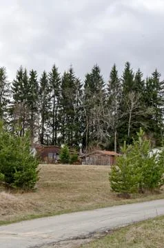 Scene with springtime mountain glade, forest and residential district Stock Photos