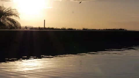 Scene Stockers - Pool Sunset Stock Footage 273010348