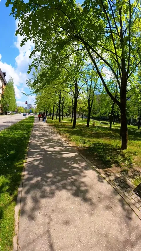 A scene from streets of Banja Luka during sunny day. Stock Footage 239743151