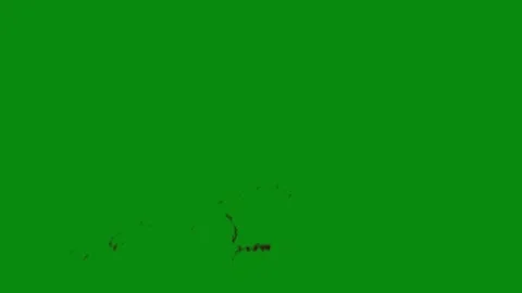 Scene Transition Blood Splash Effect Stock Footage 306038924