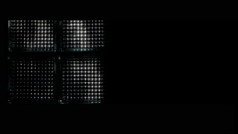 Scene of tree blowing in wind through shiny window. Stock Footage 237900662