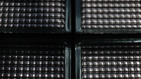 Scene of tree blowing in wind through shiny window. Stock Footage 237939003