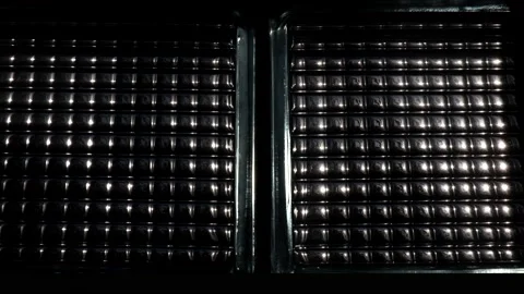 Scene of tree blowing in wind through shiny window. Stock Footage 238012790