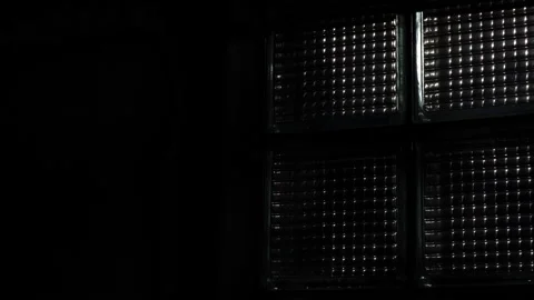 Scene of tree blowing in wind through window. Stock Footage 238354242