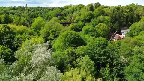 A scene of trees with a road and traffic in 4K Stock-Footage 310945214