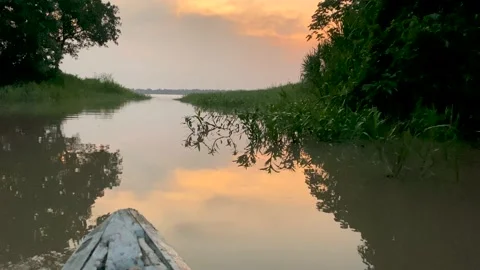Scene at a tributary from the Amazon River in the Amazon jungle Stock Footage 171639682