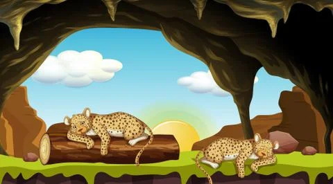 Scene with two cheetahs sleeping in cave Stock Illustration