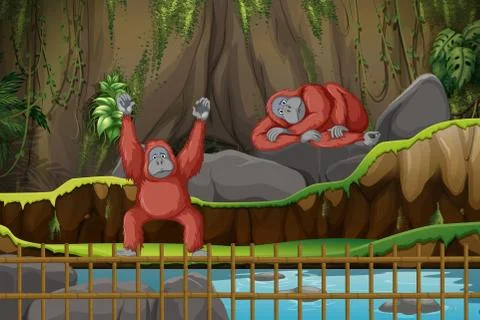 Scene with two monkeys in the zoo Ilustración de archivo