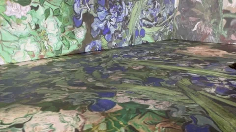 Scene from Van Gogh Experience Stock Footage 172387122