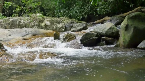 Scene of waterfall in tropical rain forest in real time and slow motion Stock Footage 77005380