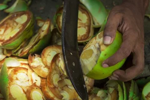 The scene when the sugar palm fruit is cut Stock Photos