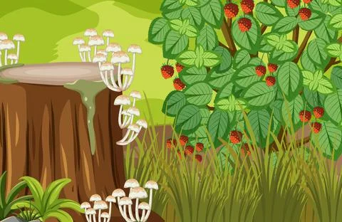 Scene with Wood-decay fungus Illustrazione stock