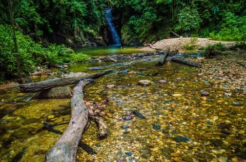Sceneric waterfall secluded inside the forest Stock Photos