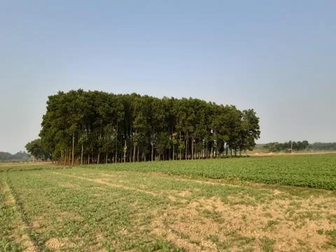 Scenery and background 库存照片